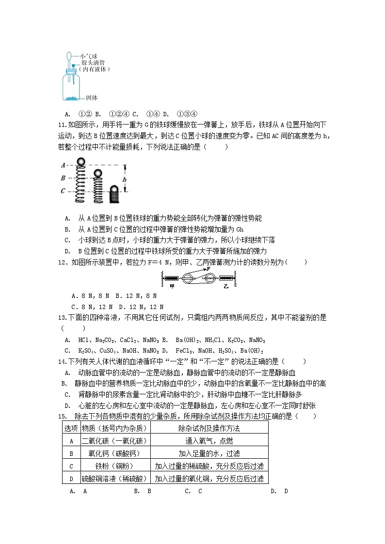 浙江省温州市鹿城区2023-2024学年九年级上学期科学期末教学质量调研模拟卷03