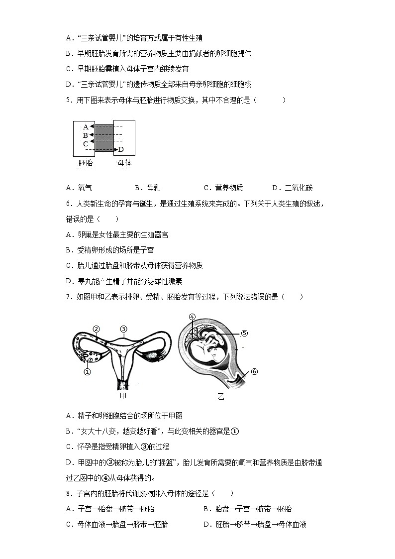 1.1新生命的诞生  第2课时  七年级科学下册同步备课（浙教版）（课件+练习）02