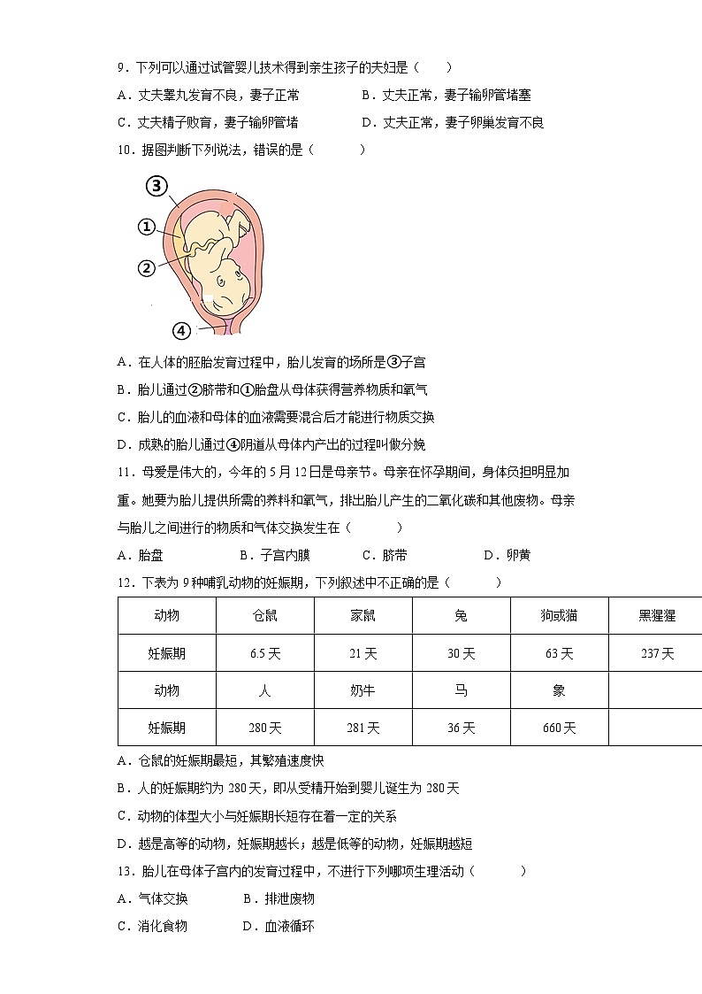 1.1新生命的诞生  第2课时  七年级科学下册同步备课（浙教版）（课件+练习）03