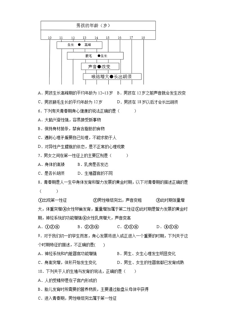 1.2 走向成熟（练习） 七年级科学下册同步备课（浙教版）第2页