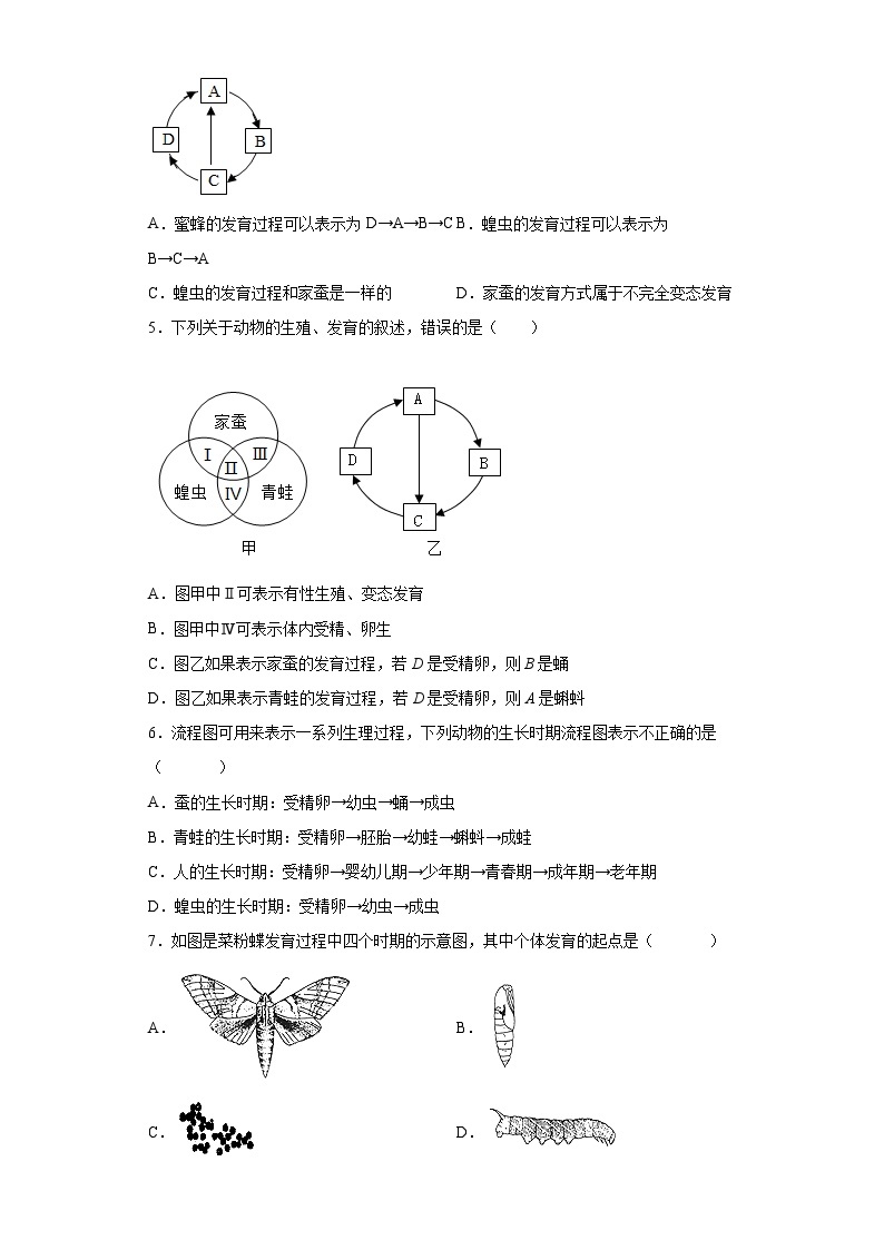 1.3 动物的生长时期 第1课时  七年级科学下册同步备课（浙教版）（课件+练习）02