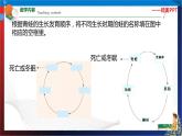 1.3 动物的生长时期 第1课时  七年级科学下册同步备课（浙教版）（课件+练习）