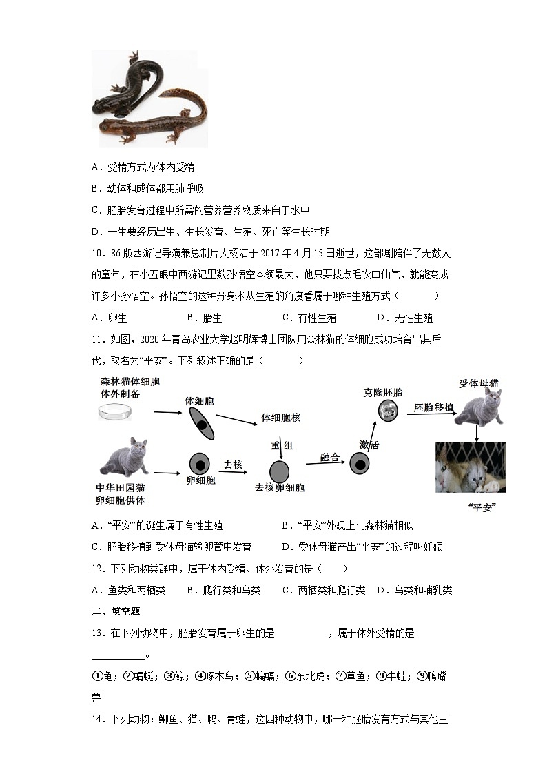 1.3 动物的生长时期 第2课时（练习）七年级科学下册同步备课（浙教版）第3页