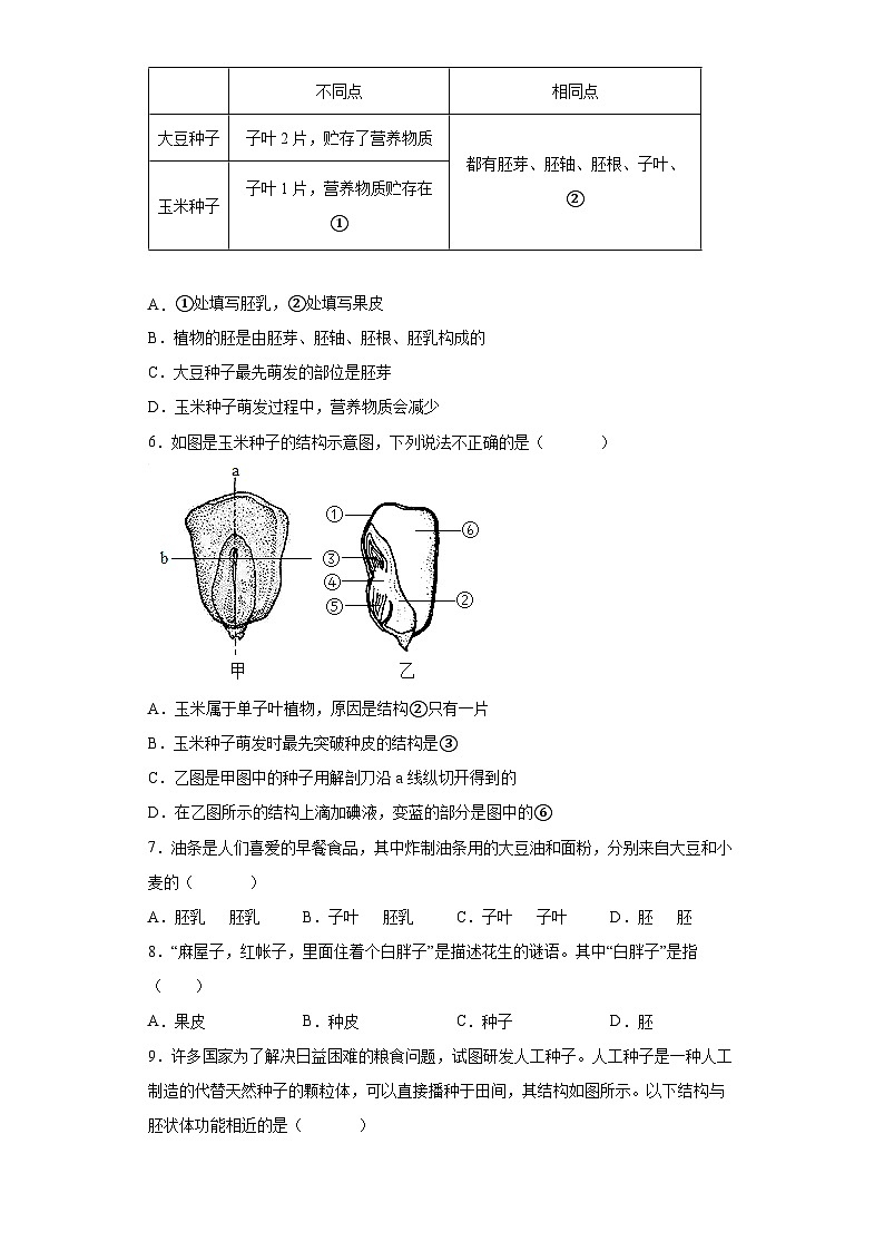 1.4  植物的一生 第1课时  （练习）七年级科学下册同步备课（浙教版）第2页