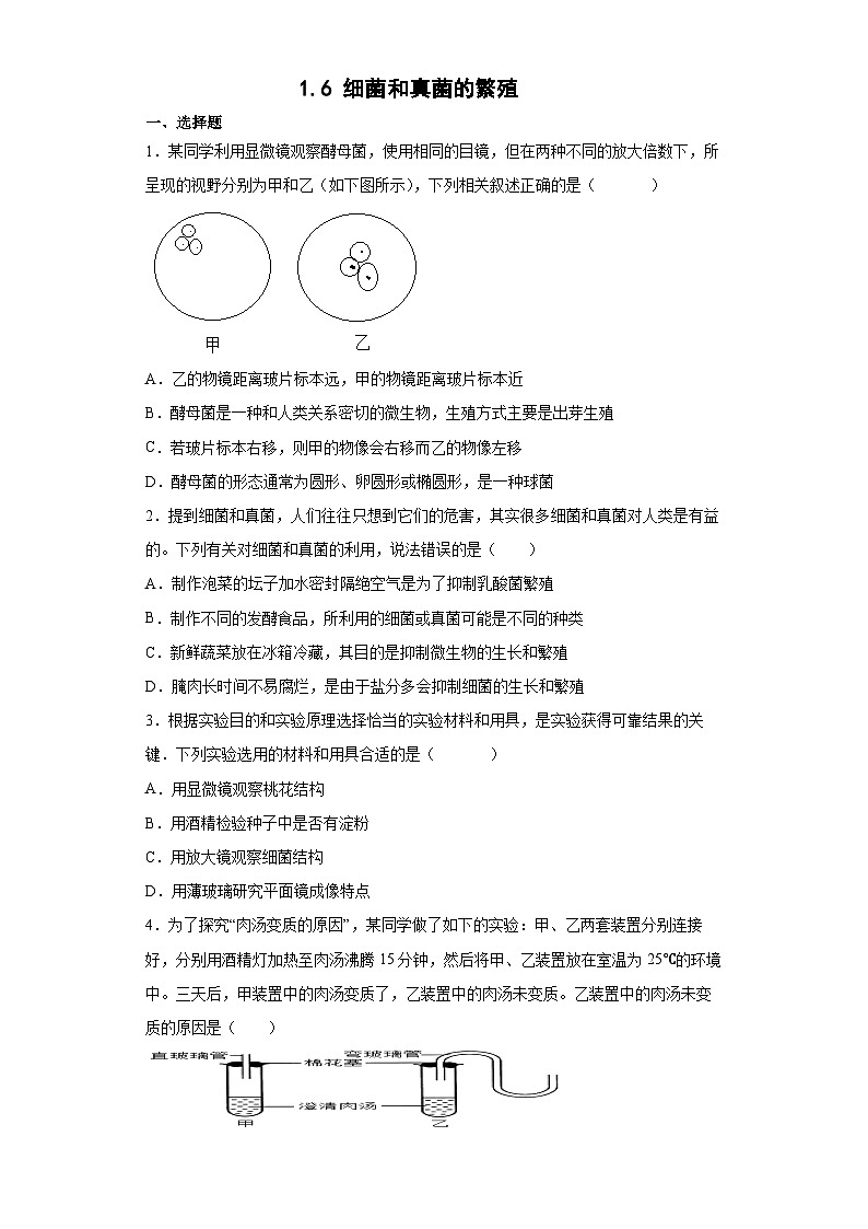 1.6 细菌和真菌的繁殖 （练习）七年级科学下册同步备课（浙教版）第1页