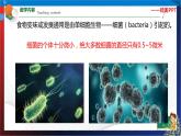 1.6 细菌和真菌的繁殖  七年级科学下册同步备课（浙教版）（课件+练习）