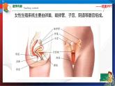 第一章《代代相传的生命》复习（课件） 七年级科学下册同步备课（浙教版）