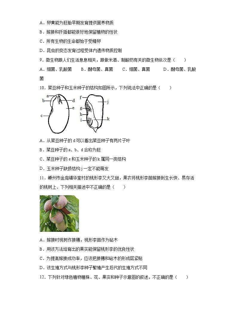 第一章 《代代相传的生命》 单元测试 七年级科学下册同步备课（浙教版）03