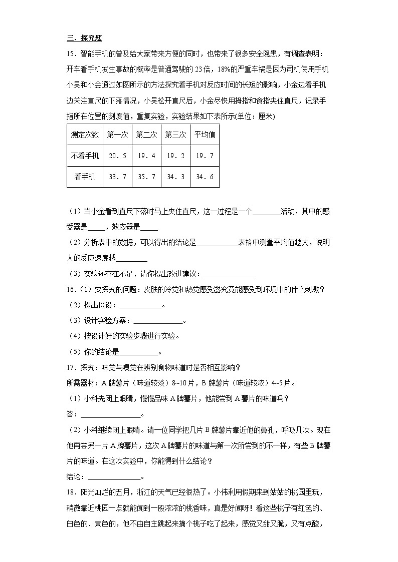 2.1 感觉世界 七年级科学下册同步备课（浙教版）（课件+练习）03