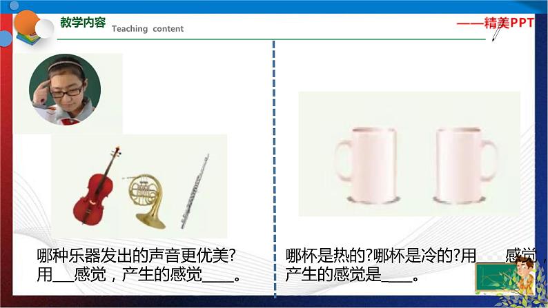 2.1 感觉世界 七年级科学下册同步备课（浙教版）（课件+练习）05