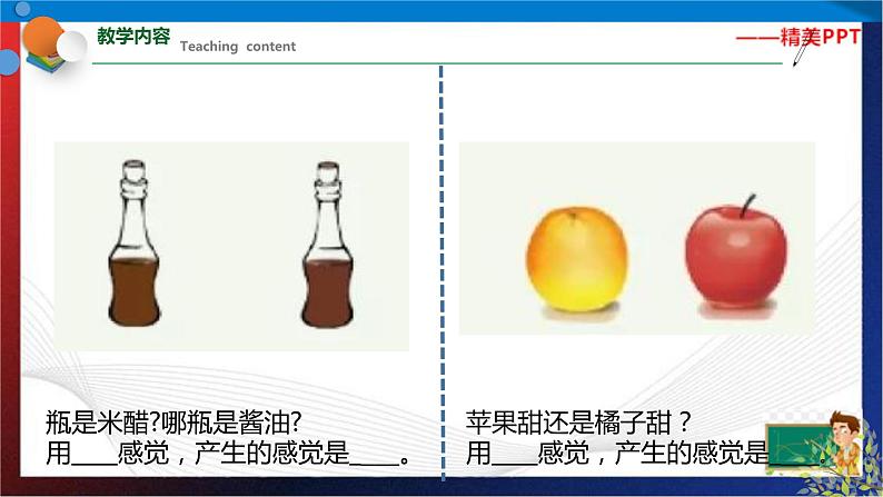 2.1 感觉世界 七年级科学下册同步备课（浙教版）（课件+练习）06