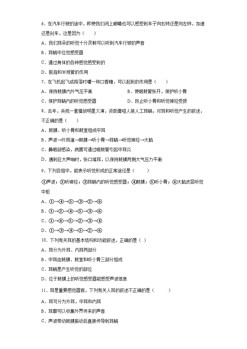 2.3耳和听觉第1课时  七年级科学下册同步备课（浙教版）（课件+练习）02