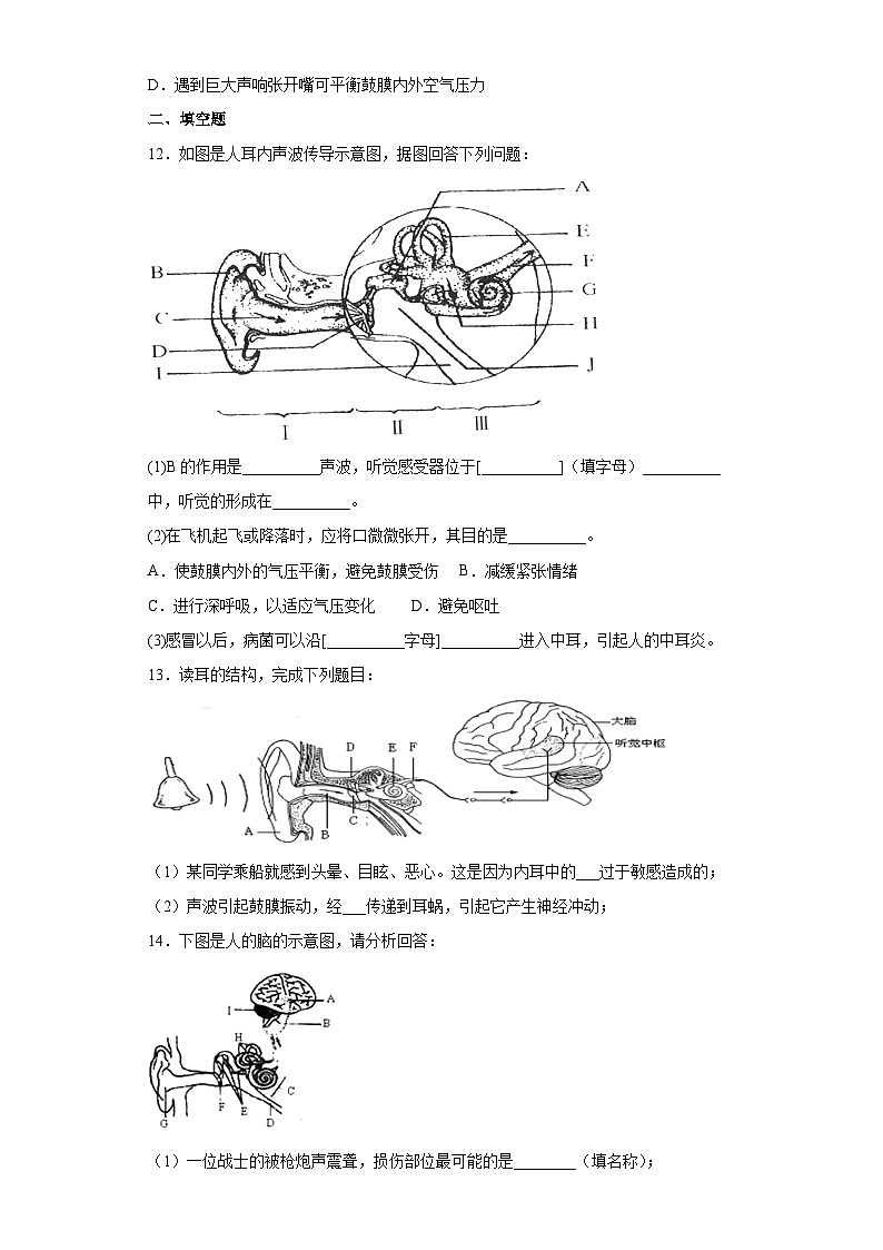 2.3耳和听觉第1课时  七年级科学下册同步备课（浙教版）（课件+练习）03