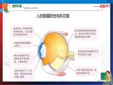 2.6 透镜和视觉 第3课时 七年级科学下册同步备课（浙教版）（课件+练习）