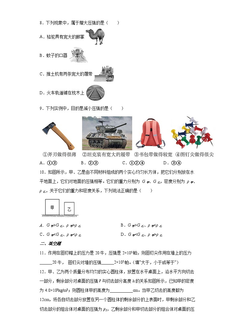 3.7 压强 第1课时 （练习） 七年级科学下册同步备课（浙教版）第3页