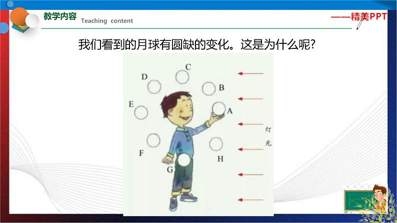 4.4 月相  七年级科学下册同步备课（浙教版）（课件+练习）04