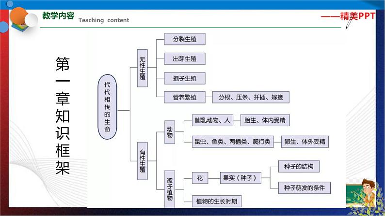七年级下册科学期末综合复习同步备课（课件）（浙教版）第2页