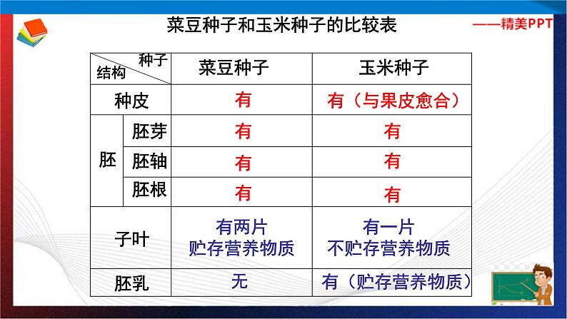 第1章代代相传的生命复习（2）单元综合课件 七年级科学下册备考复习（浙教版）05