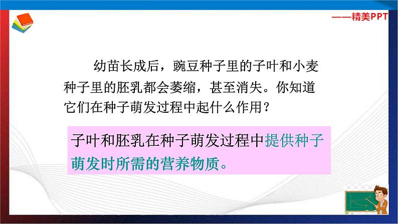 第1章代代相传的生命复习（2）单元综合课件 七年级科学下册备考复习（浙教版）07