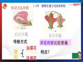 第1章代代相传的生命复习（3）单元综合课件 七年级科学下册备考复习（浙教版）