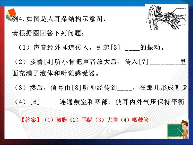 第2章对环境的察觉复习（2）单元综合课件 七年级科学下册备考复习（浙教版）08