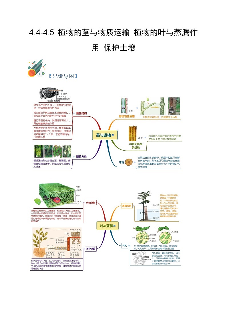 4.4-4.6 植物的茎与物质运输 植物的叶与蒸腾作用 保护土壤  八年级科学下册同步精品讲义（浙教版）01