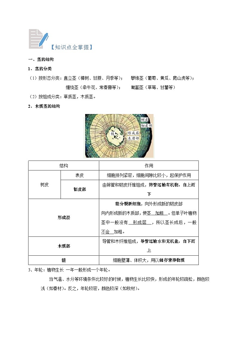 4.4-4.6 植物的茎与物质运输 植物的叶与蒸腾作用 保护土壤  八年级科学下册同步精品讲义（浙教版）02