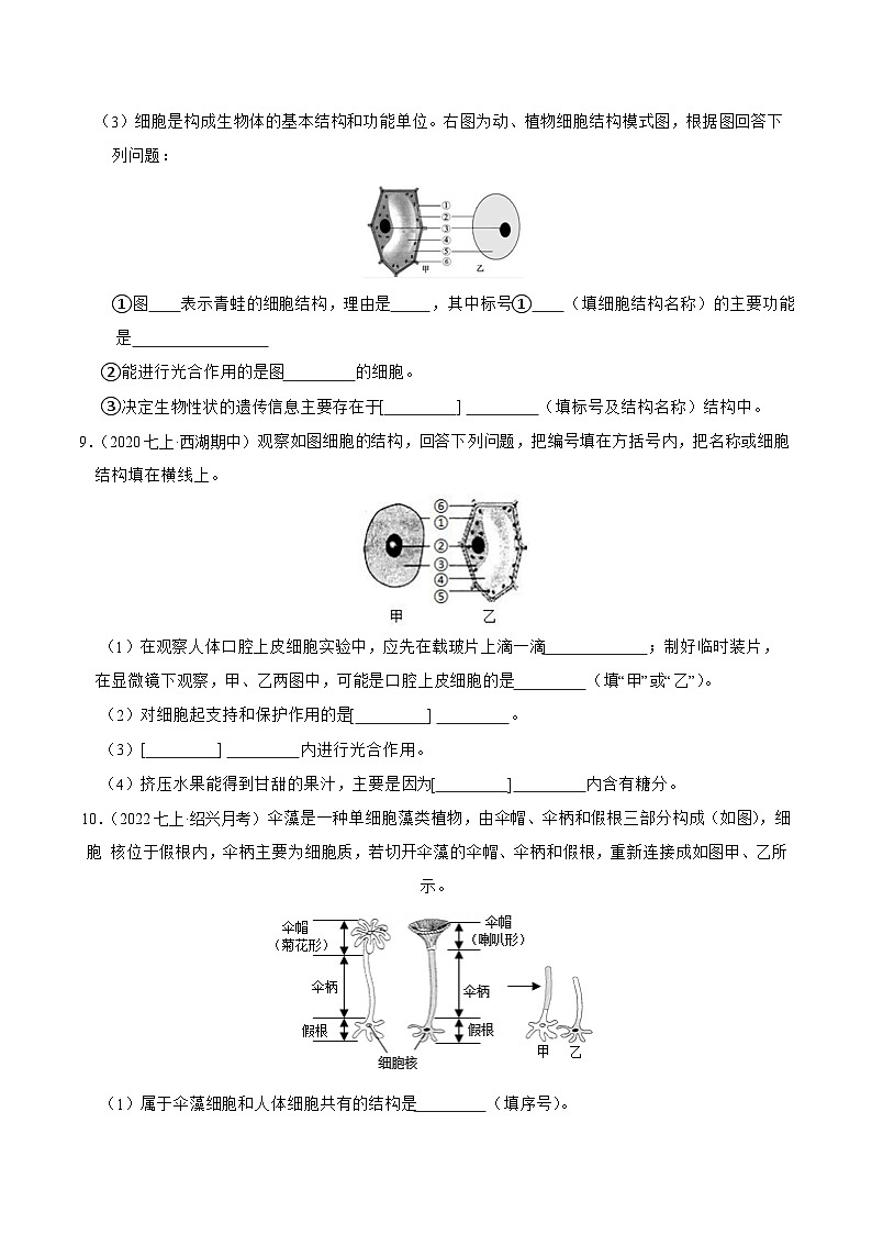 专题03 细胞观察与结构、生物体结构层次-2023-2024学年七年级科学上学期期末高效复习（浙教版）03