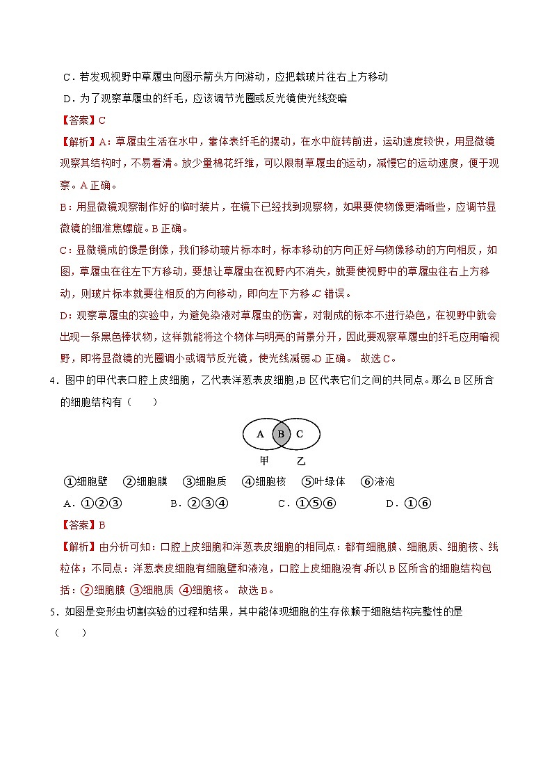 专题03 细胞观察与结构、生物体结构层次-2023-2024学年七年级科学上学期期末高效复习（浙教版）02