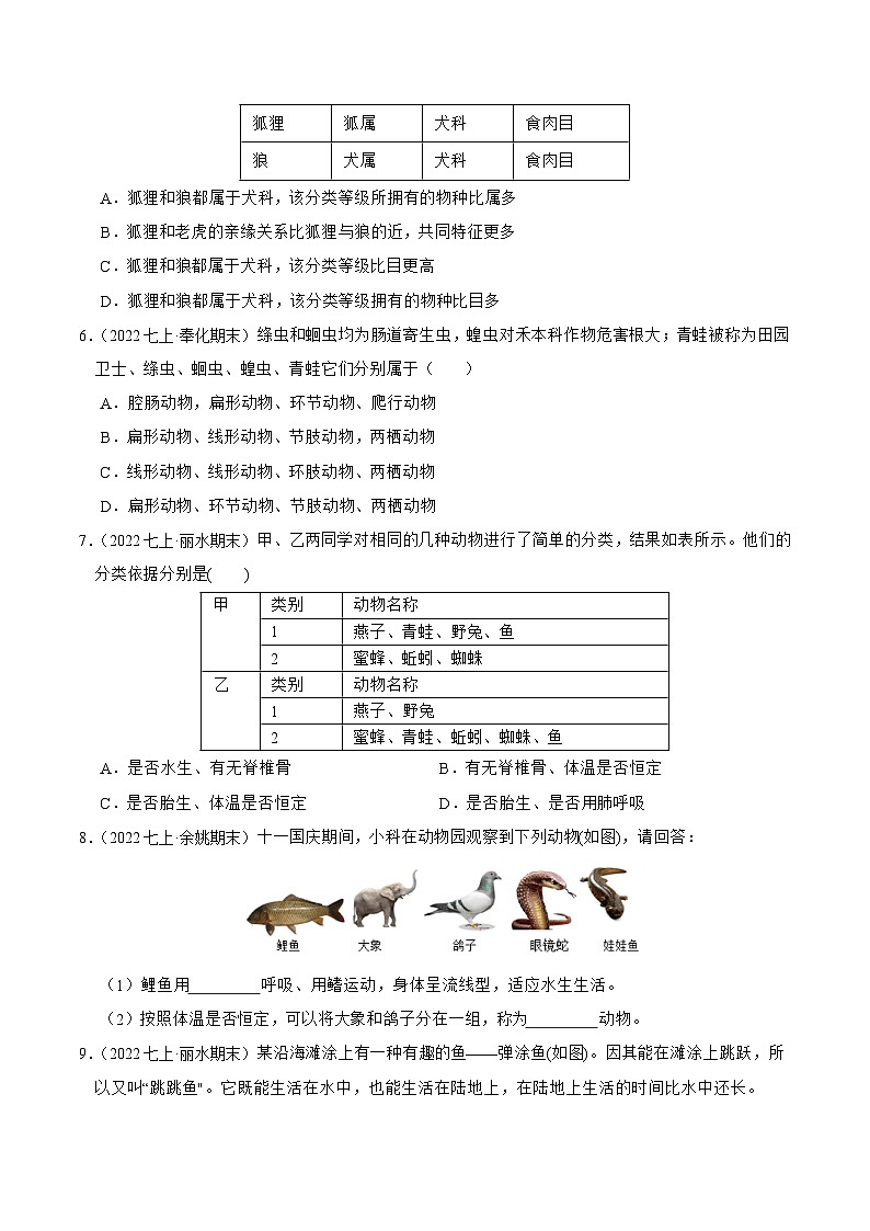 专题04 常见的的动植物和微生物-2023-2024学年七年级科学上学期期末高效复习（浙教版）02