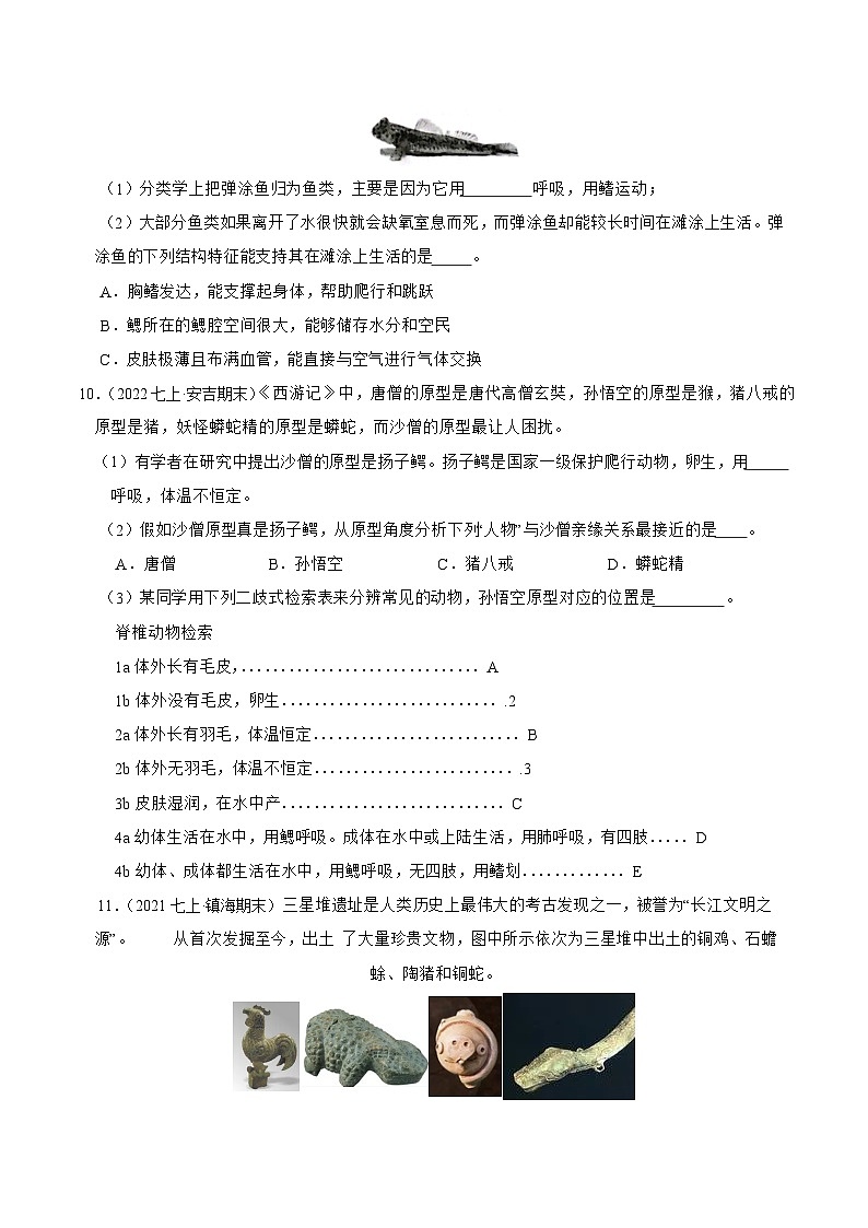 专题04 常见的的动植物和微生物-2023-2024学年七年级科学上学期期末高效复习（浙教版）03