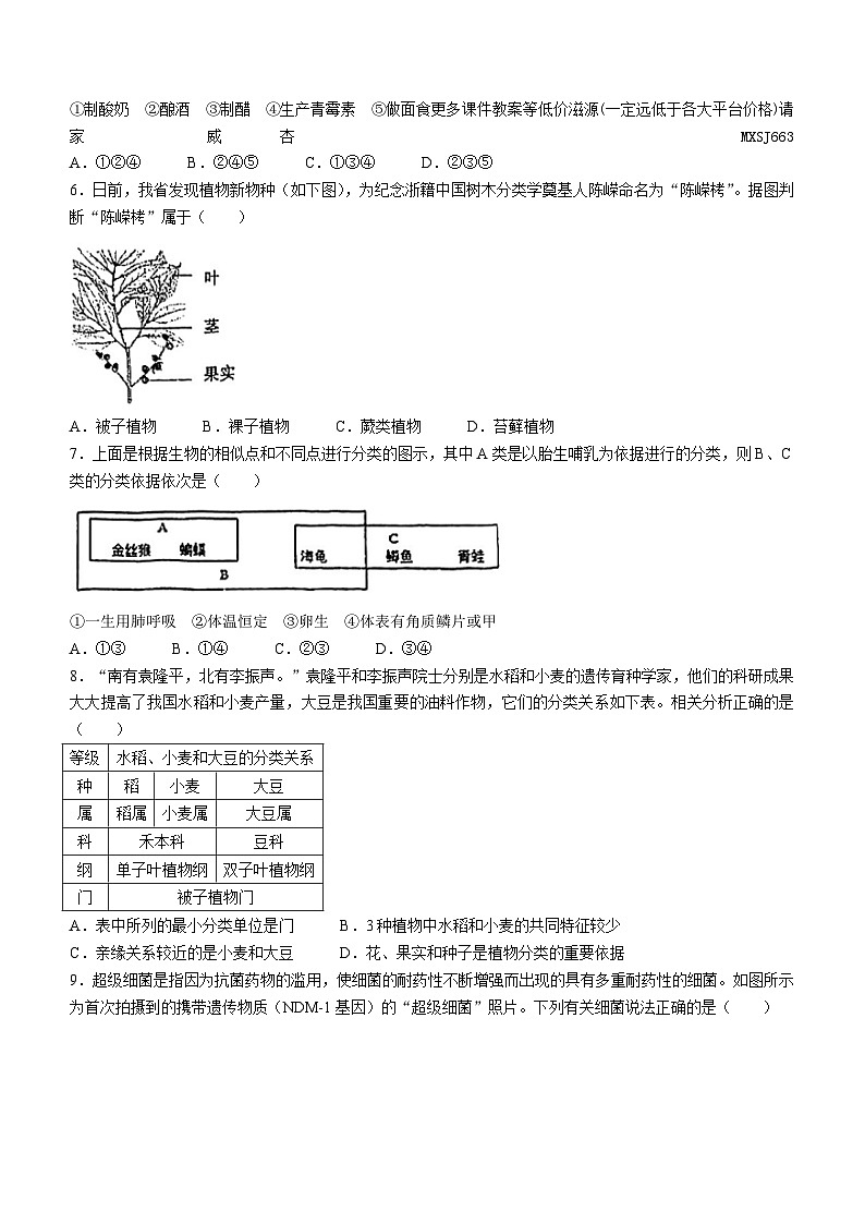 浙江省宁波市慈溪市慈吉实验学校2023-2024学年七年级上学期期末模拟考试科学卷(无答案)02