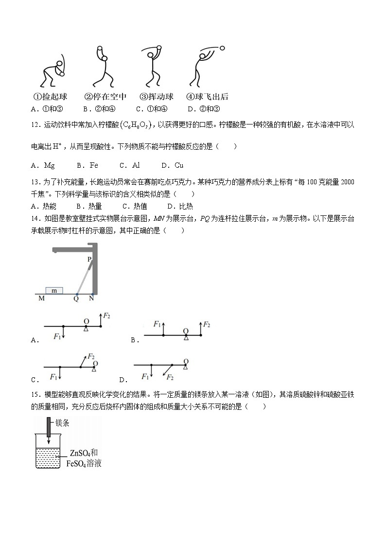 浙江省温州市第二中学2023-2024学年九年级上学期第二次月考科学试题03
