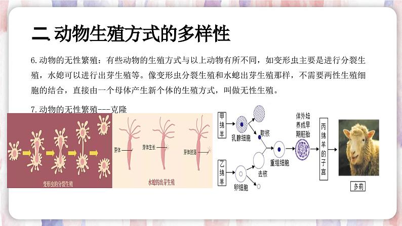 【浙教版】七下科学  1.3动物的生长时期（课件+同步练习）08