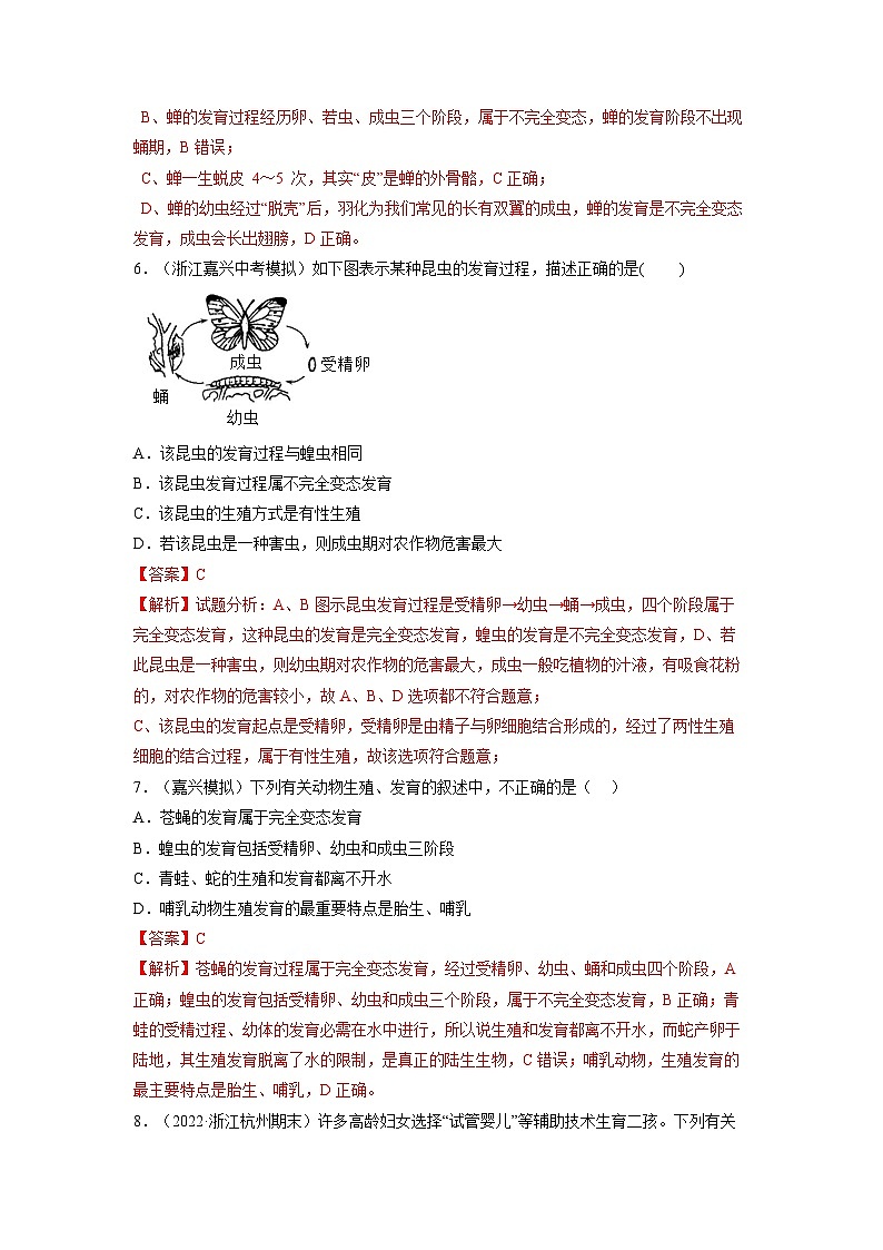 【浙教版】七下科学  1.3动物的生长时期（课件+同步练习）03