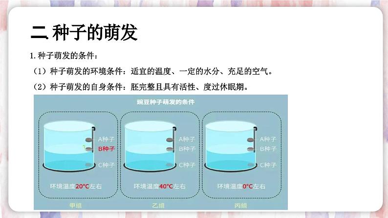 【浙教版】七下科学  1.4植物的一生（课件+同步练习）05