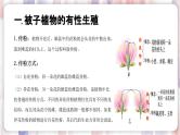 【浙教版】七下科学  1.5植物生殖方式的多样性（课件+同步练习）
