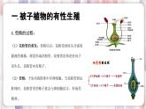 【浙教版】七下科学  1.5植物生殖方式的多样性（课件+同步练习）