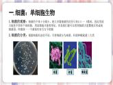 【浙教版】七下科学  1.6细菌和真菌的繁殖（课件+同步练习）