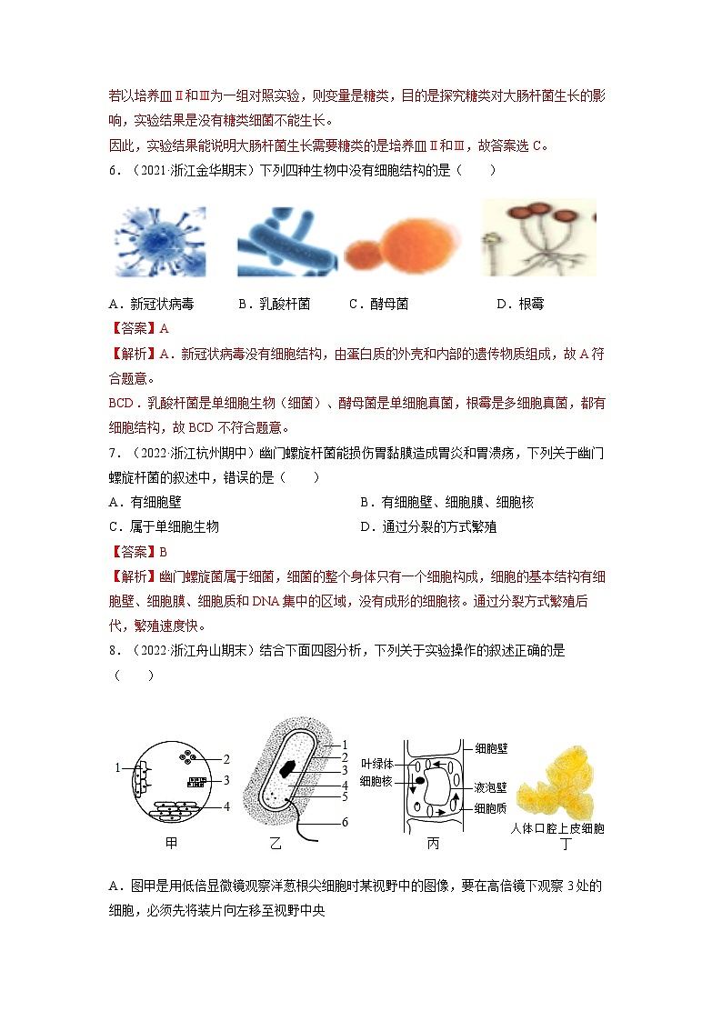 【浙教版】七下科学  1.6细菌和真菌的繁殖（课件+同步练习）03