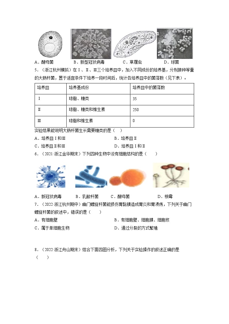 【浙教版】七下科学  1.6细菌和真菌的繁殖（课件+同步练习）02