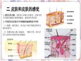 【浙教版】七下科学  2.1感觉世界（课件+同步练习）