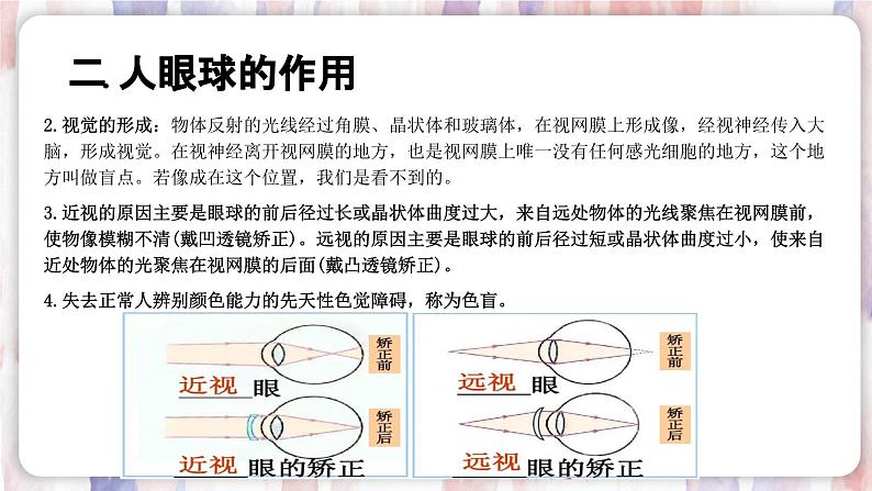 【浙教版】七下科学  2.6透镜和视觉（课件+同步练习）08