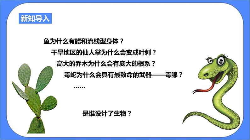 浙教版九年科学下册第1章第4节生物的进化 第1课时课件02