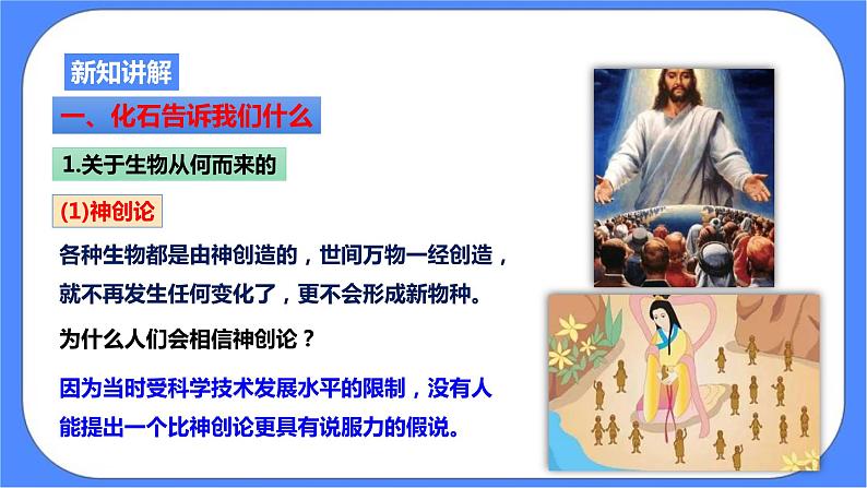 浙教版九年科学下册第1章第4节生物的进化 第1课时课件03