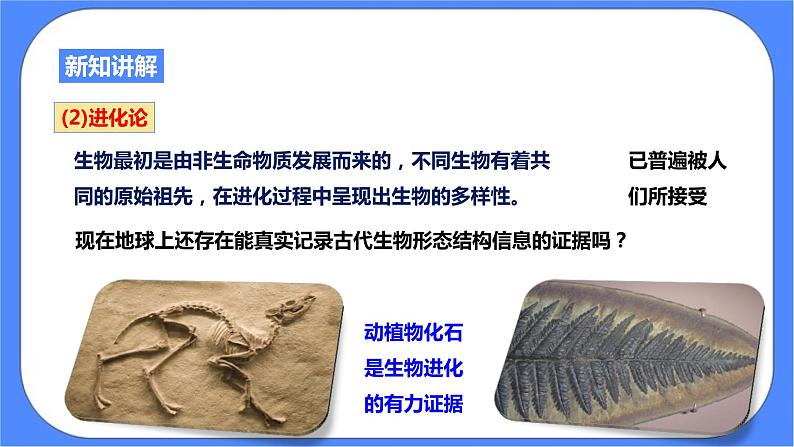 浙教版九年科学下册第1章第4节生物的进化 第1课时课件04