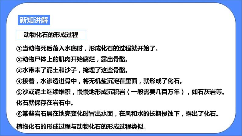 浙教版九年科学下册第1章第4节生物的进化 第1课时课件07