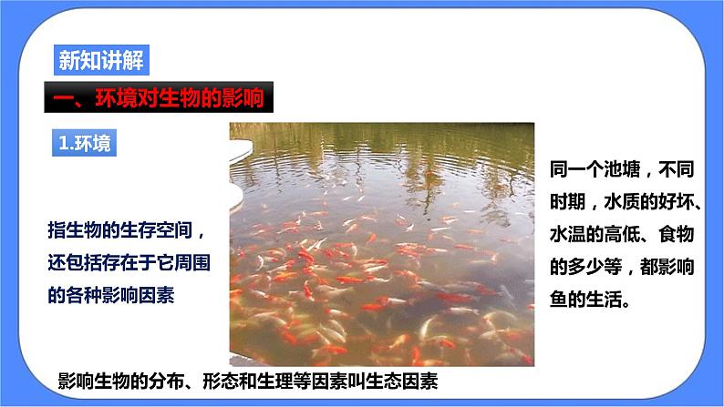 浙教版九年科学下册第2章第1节生物与环境的相互关系课件04