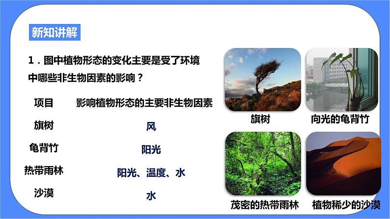 浙教版九年科学下册第2章第1节生物与环境的相互关系课件06