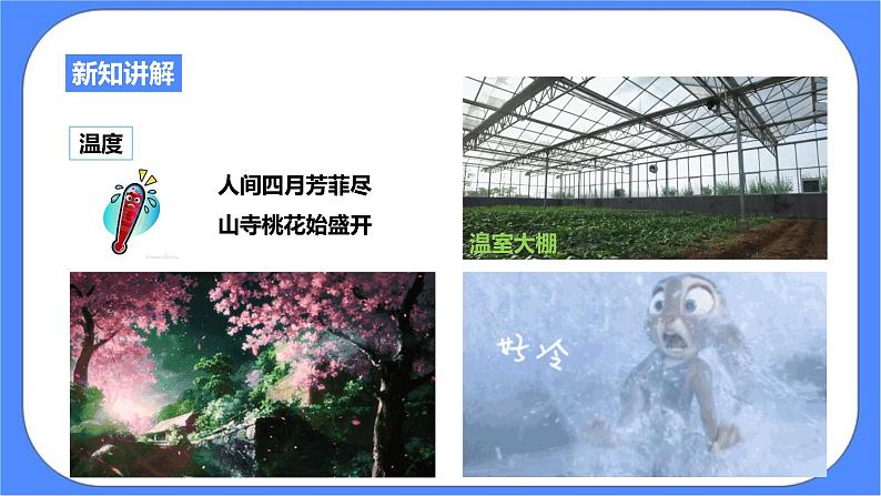 浙教版九年科学下册第2章第1节生物与环境的相互关系课件08